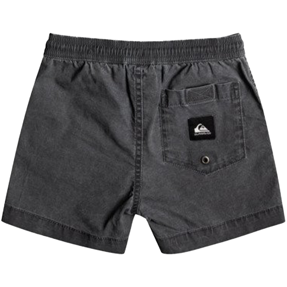 Quiksilver Taxer Elastic Shorts - Shop Best selection Of Boy's Shorts At Oceanmagicsurf.com